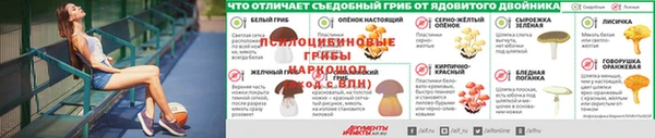 а пвп мука Россошь