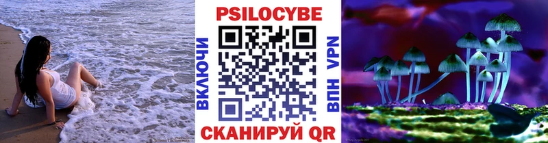 Псилоцибиновые грибы прущие грибы  Тихорецк 
