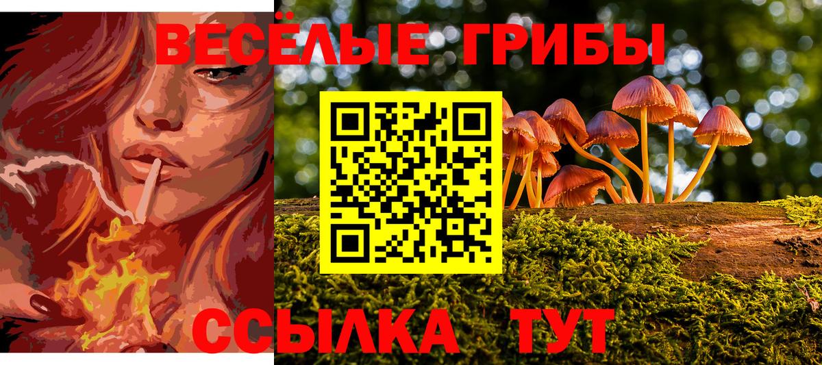 Тихорецк  наркота  Вход с VPN  Галлюциногенные грибы Magic Shrooms 