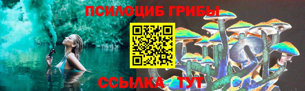 Псилоцибиновые грибы прущие грибы Тихорецк